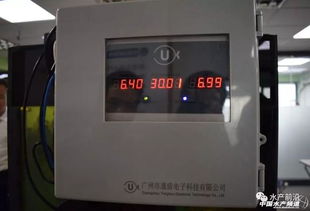 力争上u,鱼你相伴,u鱼新版本正式上线
